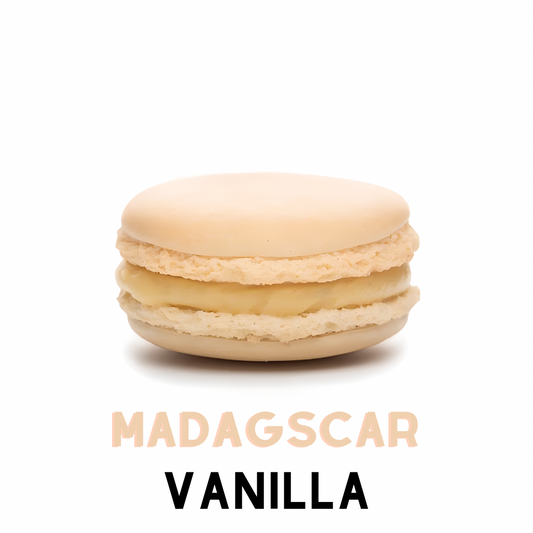 Madagascar Vanilla - Grand Macaron